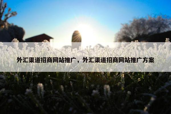 外汇渠道招商网站推广，外汇渠道招商网站推广方案