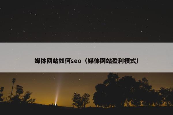 媒体网站如何seo（媒体网站盈利模式）
