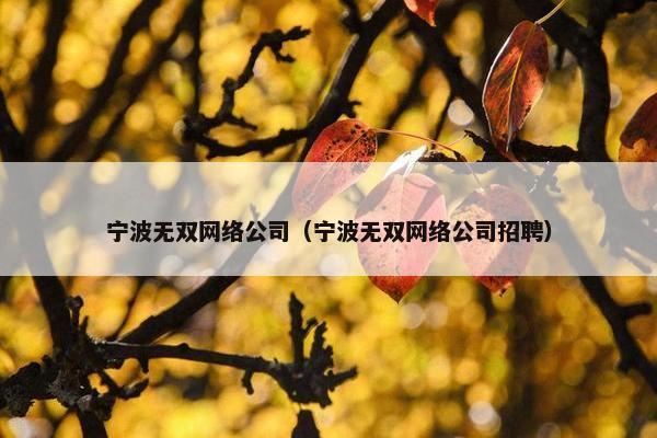 宁波无双网络公司（宁波无双网络公司招聘）