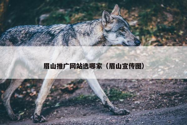 眉山推广网站选哪家（眉山宣传图）