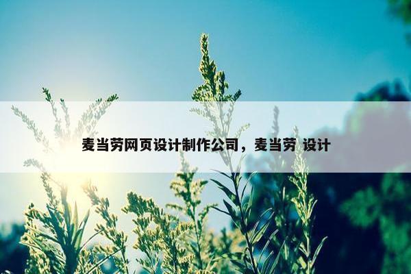 麦当劳网页设计制作公司，麦当劳 设计
