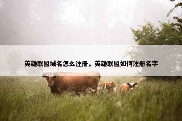 英雄联盟域名怎么注册，英雄联盟如何注册名字