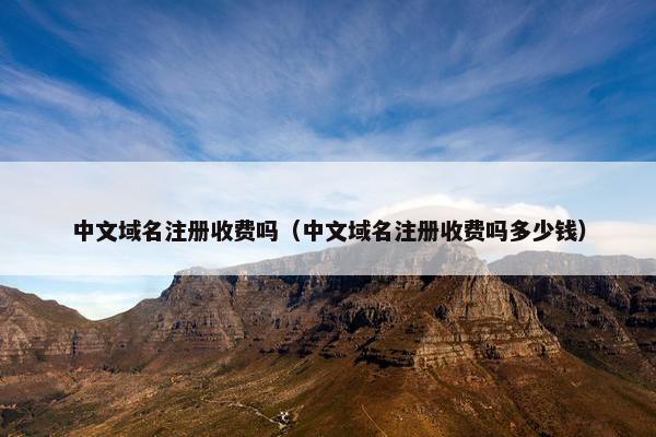 中文域名注册收费吗（中文域名注册收费吗多少钱）