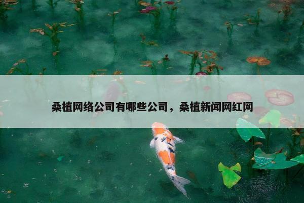 桑植网络公司有哪些公司，桑植新闻网红网