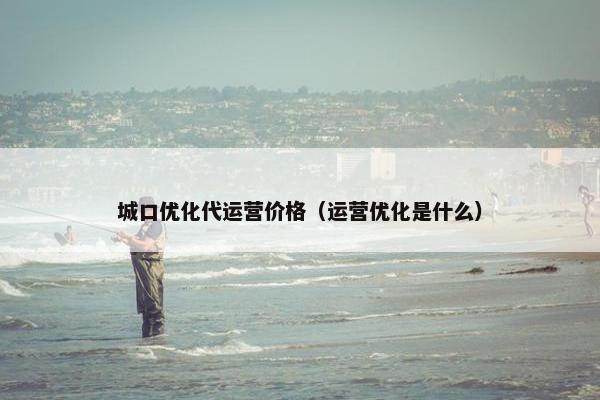 城口优化代运营价格（运营优化是什么）