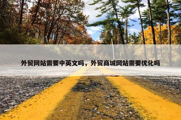 外贸网站需要中英文吗，外贸商城网站需要优化吗