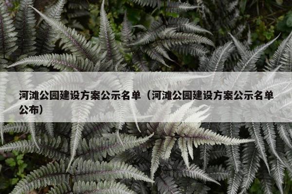 河滩公园建设方案公示名单（河滩公园建设方案公示名单公布）