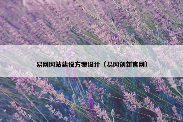 易网网站建设方案设计（易网创新官网）