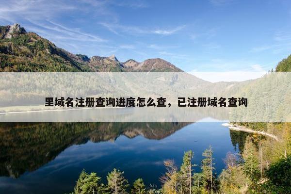 里域名注册查询进度怎么查，已注册域名查询