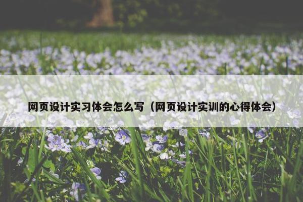 网页设计实习体会怎么写（网页设计实训的心得体会）