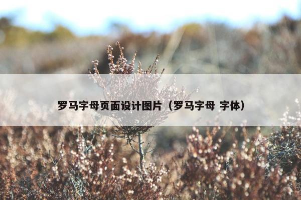 罗马字母页面设计图片（罗马字母 字体）