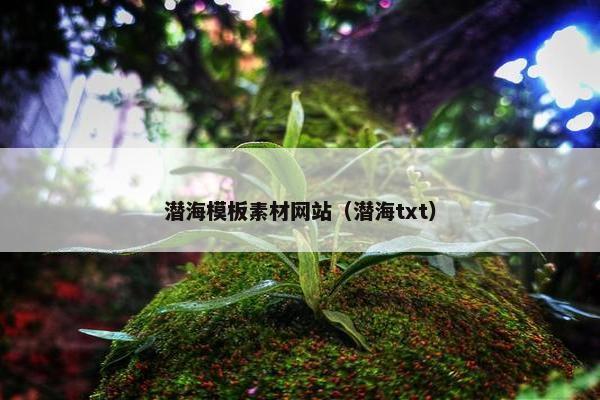 潜海模板素材网站（潜海txt）