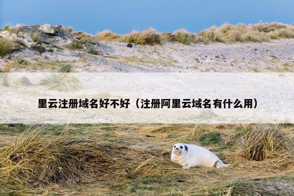 里云注册域名好不好（注册阿里云域名有什么用）