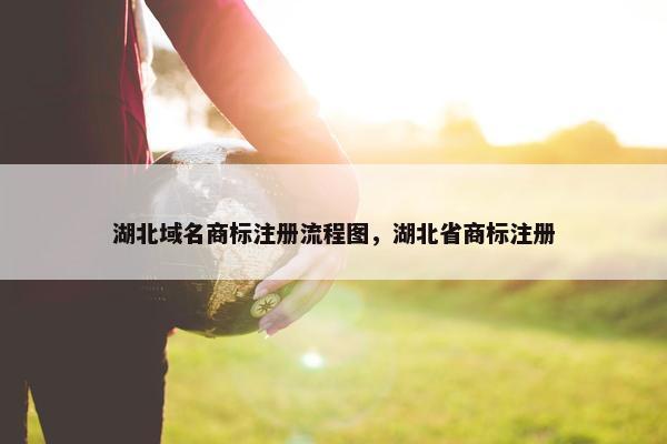 湖北域名商标注册流程图，湖北省商标注册