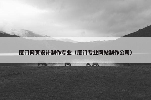 厦门网页设计制作专业（厦门专业网站制作公司）