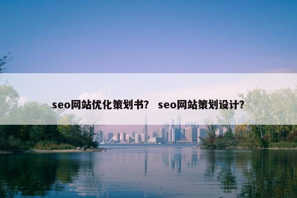 seo网站优化策划书？ seo网站策划设计？