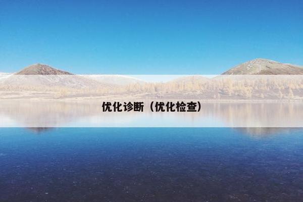 优化诊断（优化检查）