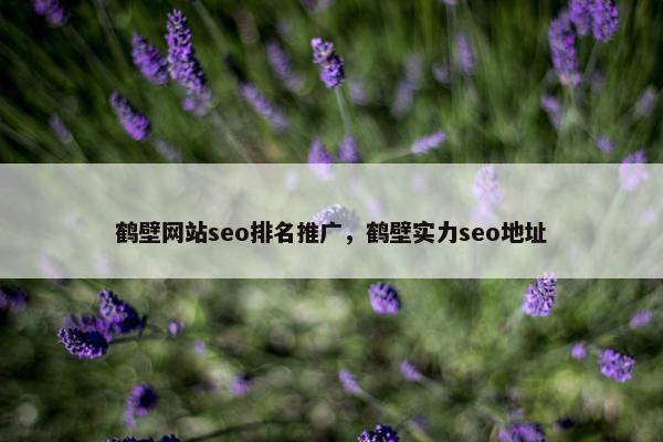 鹤壁网站seo排名推广，鹤壁实力seo地址