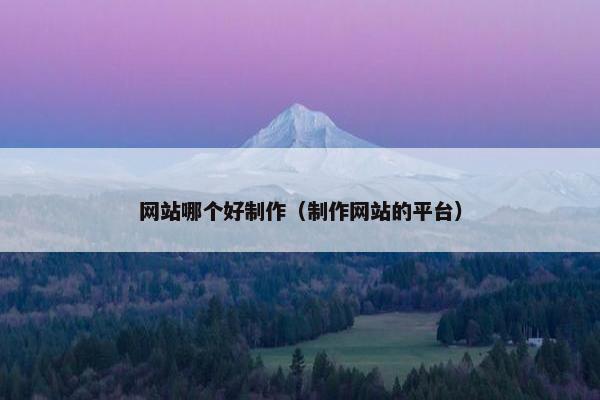 网站哪个好制作（制作网站的平台）