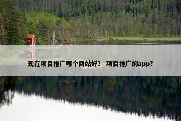 现在项目推广哪个网站好？ 项目推广的app？