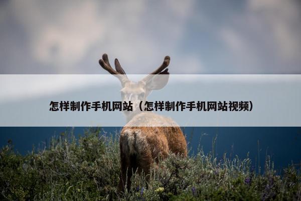 怎样制作手机网站（怎样制作手机网站视频）