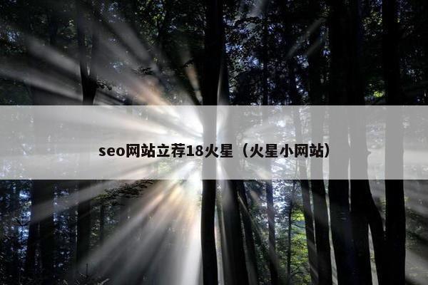 seo网站立荐18火星（火星小网站）