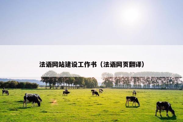 法语网站建设工作书（法语网页翻译）