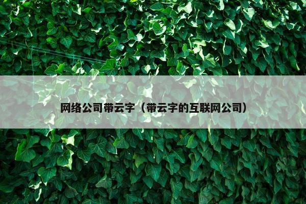 网络公司带云字（带云字的互联网公司）