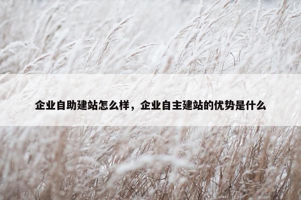 企业自助建站怎么样，企业自主建站的优势是什么