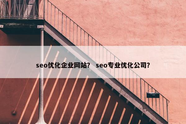 seo优化企业网站？ seo专业优化公司？