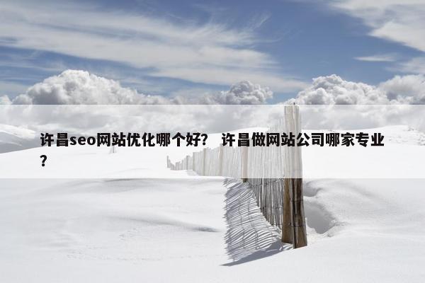 许昌seo网站优化哪个好？ 许昌做网站公司哪家专业？