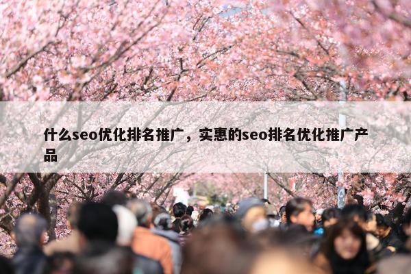 什么seo优化排名推广，实惠的seo排名优化推广产品