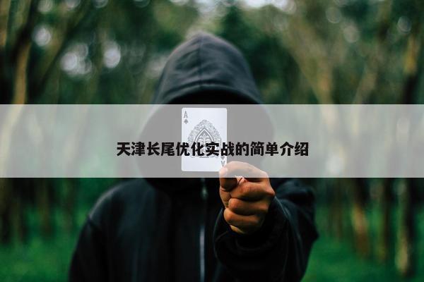 天津长尾优化实战的简单介绍