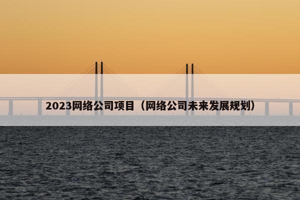 2023网络公司项目（网络公司未来发展规划）