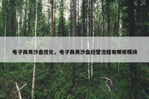 电子商务沙盘优化，电子商务沙盘经营流程有哪些模块