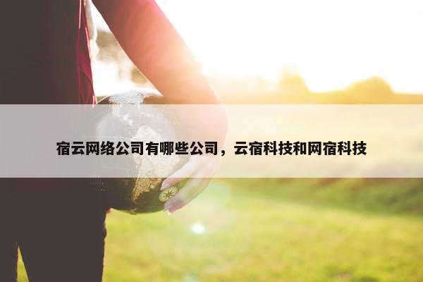 宿云网络公司有哪些公司，云宿科技和网宿科技