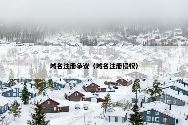 域名注册争议（域名注册侵权）