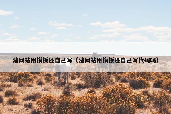 建网站用模板还自己写（建网站用模板还自己写代码吗）