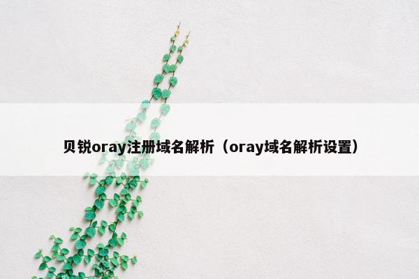 贝锐oray注册域名解析（oray域名解析设置）