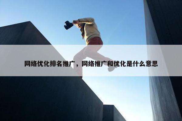 网络优化排名推广，网络推广和优化是什么意思