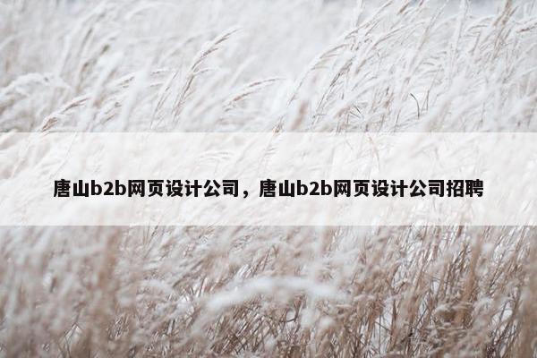 唐山b2b网页设计公司，唐山b2b网页设计公司招聘