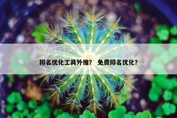 排名优化工具外推？ 免费排名优化？