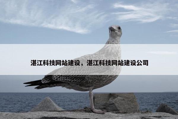 湛江科技网站建设，湛江科技网站建设公司