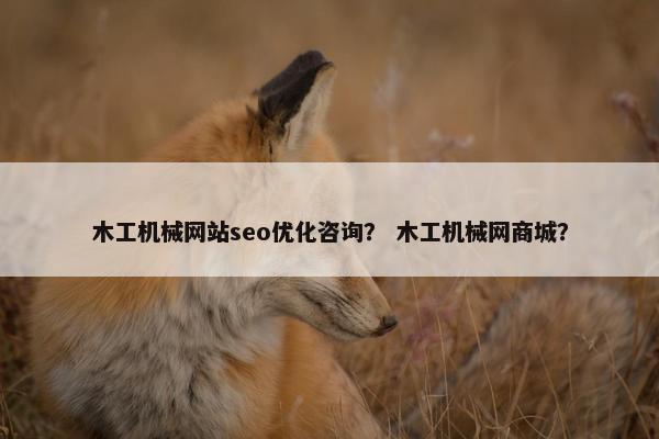 木工机械网站seo优化咨询？ 木工机械网商城？