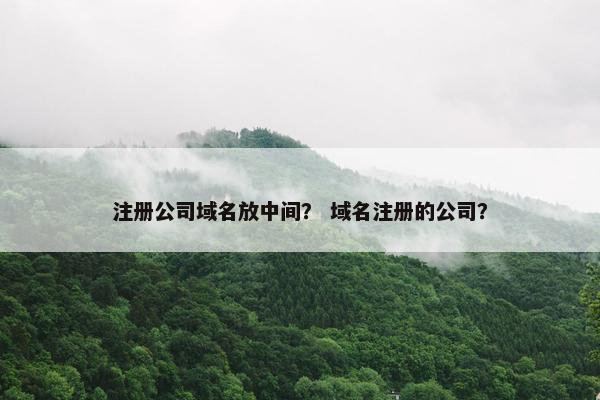 注册公司域名放中间？ 域名注册的公司？