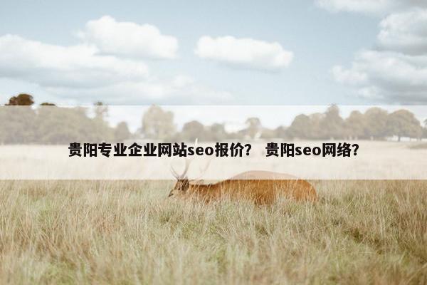 贵阳专业企业网站seo报价？ 贵阳seo网络？