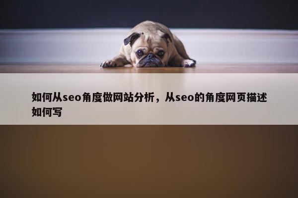 如何从seo角度做网站分析，从seo的角度网页描述如何写