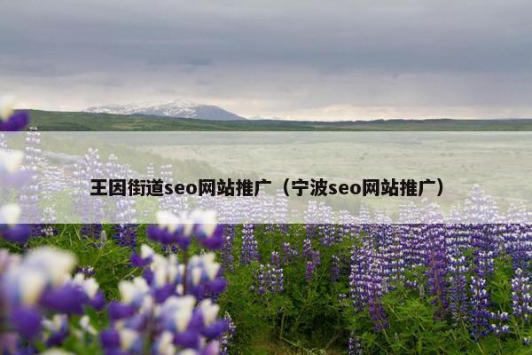 王因街道seo网站推广（宁波seo网站推广）