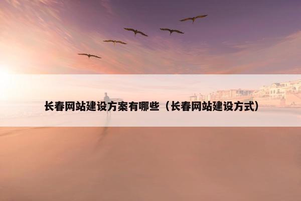 长春网站建设方案有哪些（长春网站建设方式）