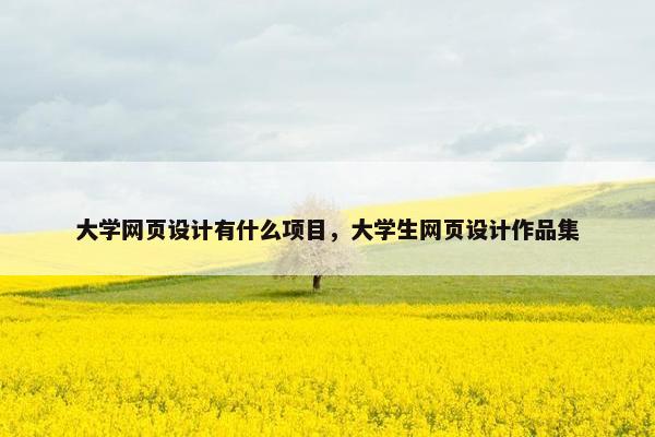 大学网页设计有什么项目，大学生网页设计作品集